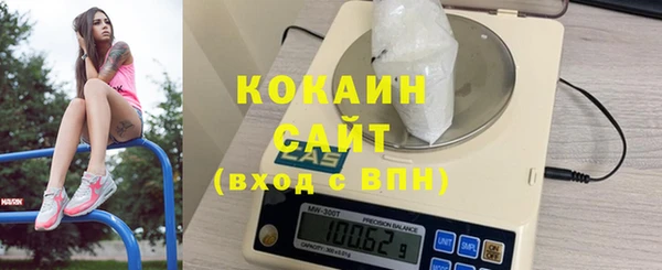 хмурый Осинники