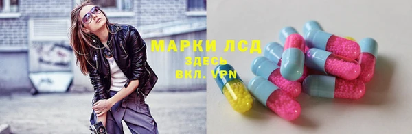 сатива Володарск