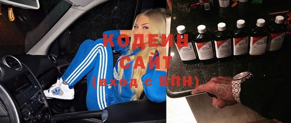 гашик Осташков