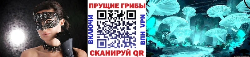 Псилоцибиновые грибы мицелий  как найти   Каменск-Шахтинский 